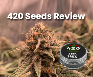 420 Seeds - Top-quality Marijuana Seeds from the Dutch Producers