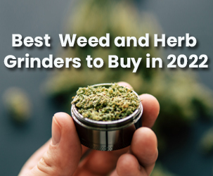 Top 10 Best Weed and Herb Grinders to Buy in 2022