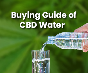 CBD Water Shopping Guide | A New And Innovative Way To Meet Your Body’s CBD Requirements
