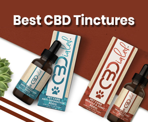 Best CBD Tinctures - CBD Tinctures Buying Guide