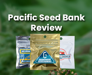 Pacific Seed Bank Reviews | Germinated Seeds With High Genetic Plant Growth