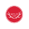Wyld CBD