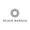 Black Dahlia
