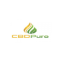 CBD Pure