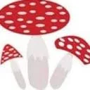 Amanita Muscaria Store