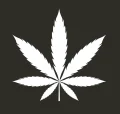 Bobygreen