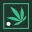 CBD FR
