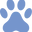Daily Pet