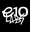 E1011 Labs