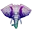 Exotic Elephant