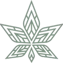 Finola Dream