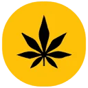 Golden CBD FR