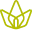 Holistik Wellness