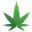 Passion Cannabis