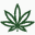 Swissbotanic